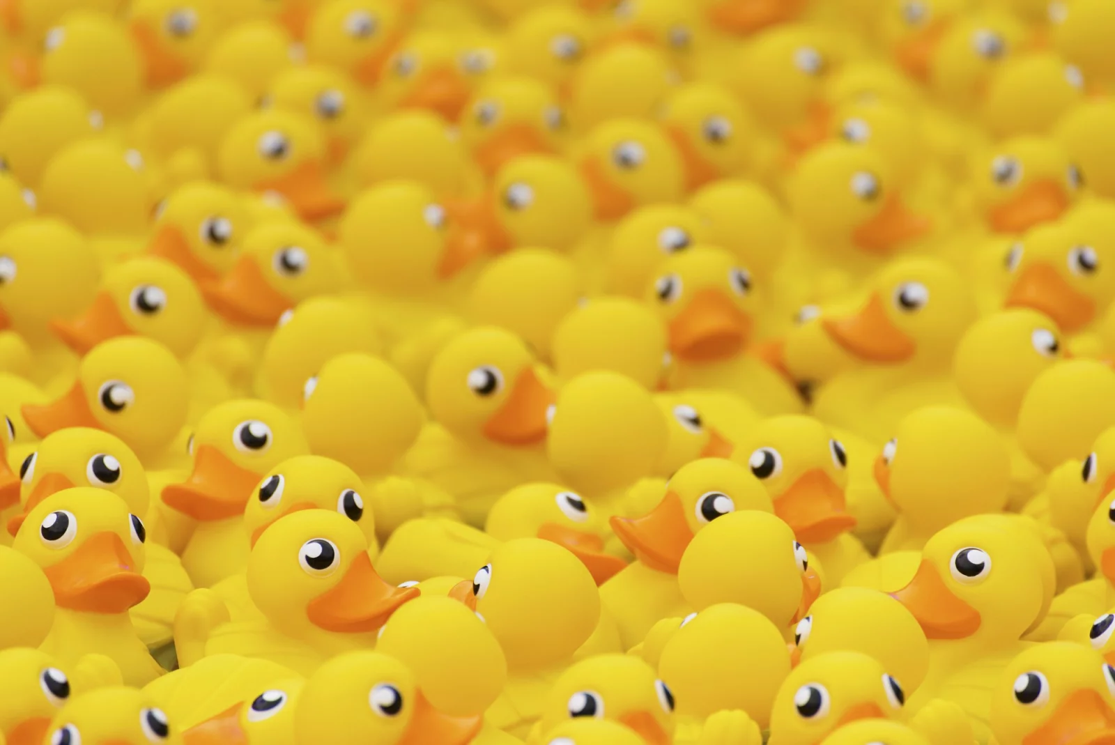 Major Tom sponsors the Duck Race in Ghent