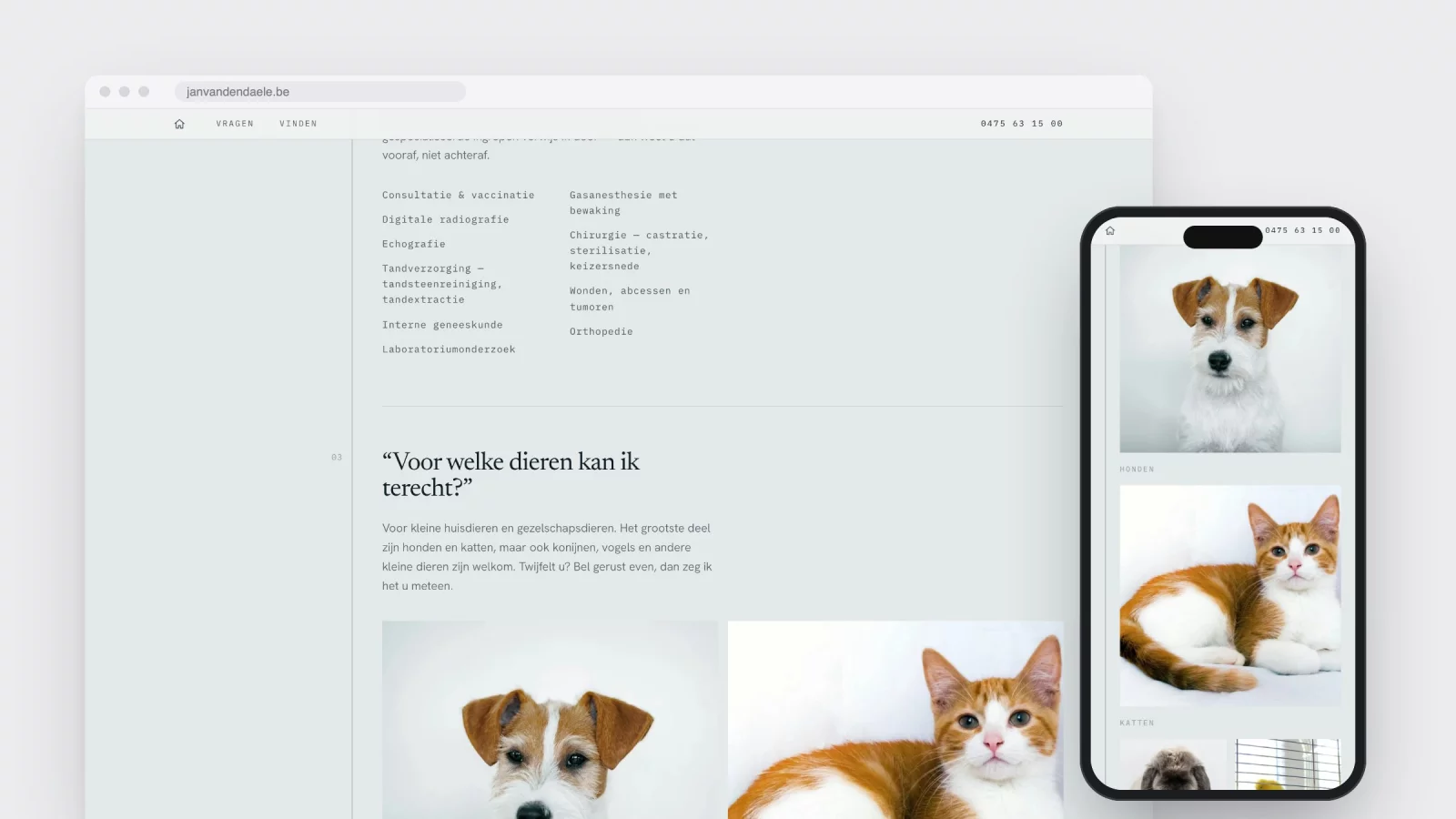 The questions block on the site listing what happens in-house, with photos of a dog and a cat