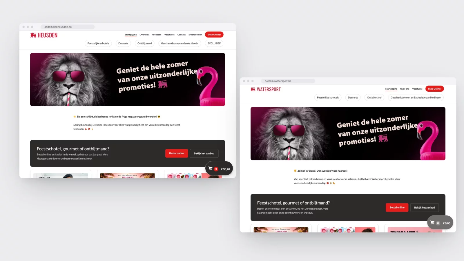 The homepages of Delhaize Heusden and Delhaize Watersport side by side in two browser windows