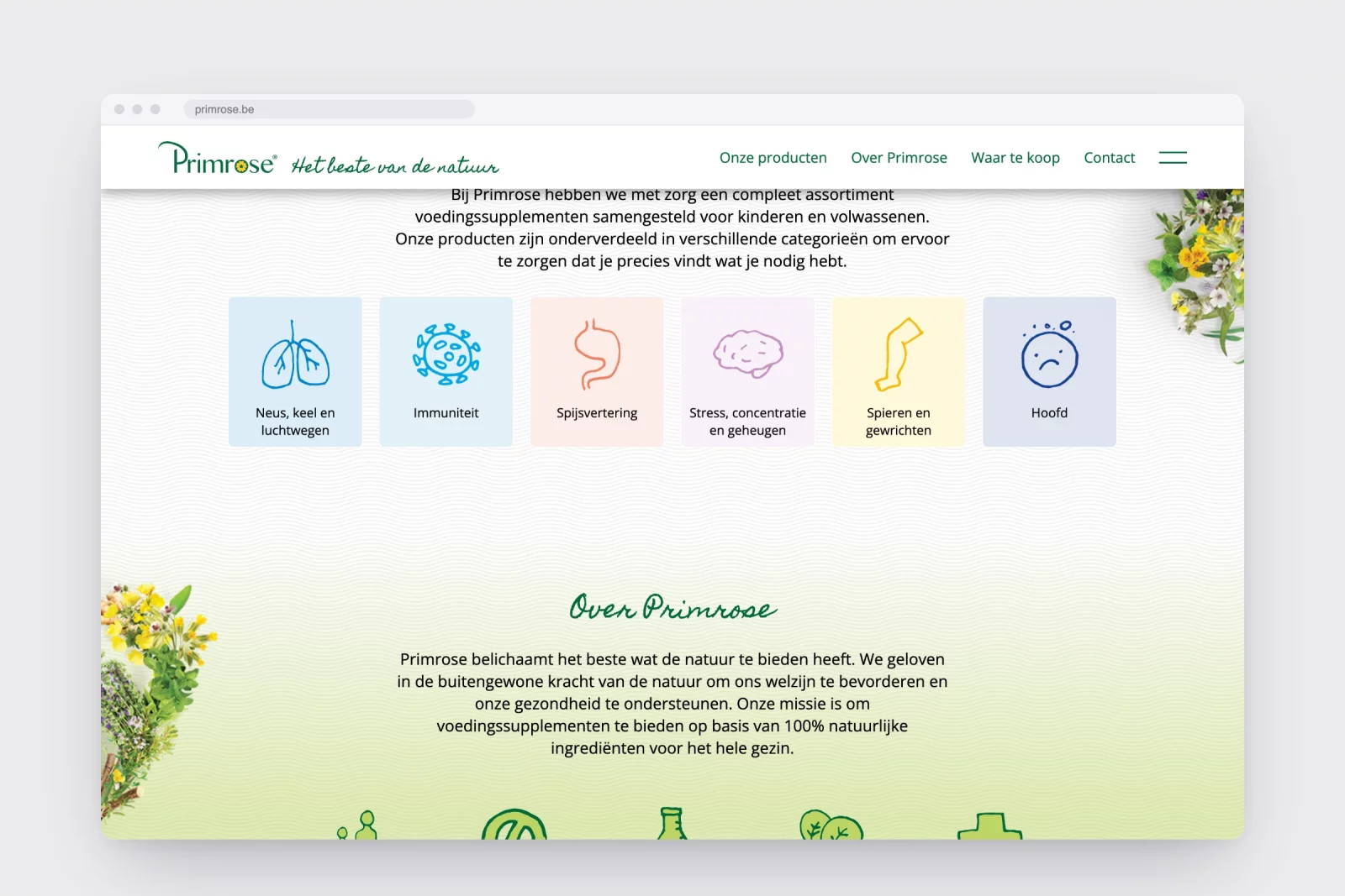 Icons per complaint on the primrose.be homepage